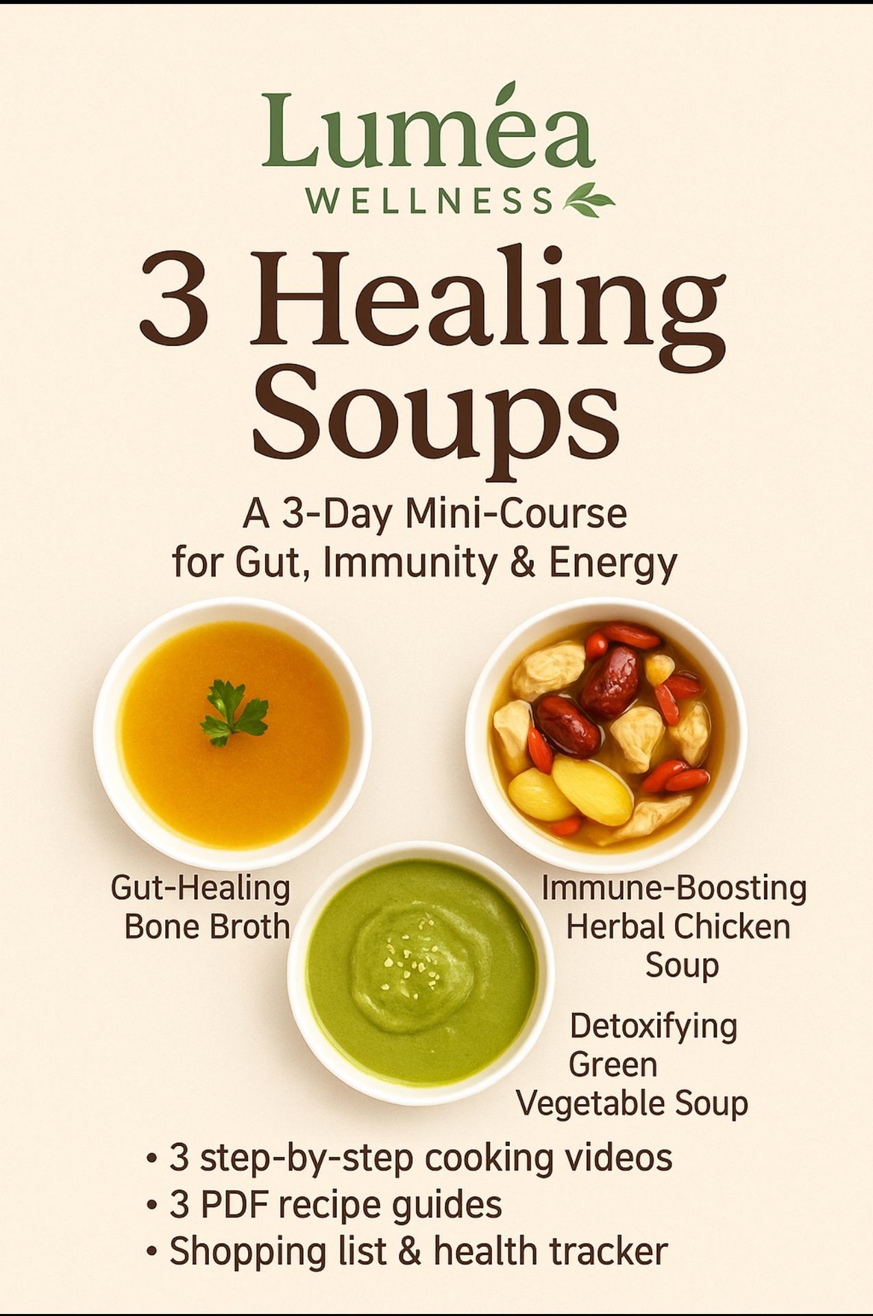 3 day healing soups 